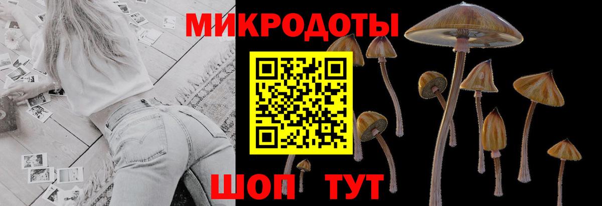 Галлюциногенные грибы Psilocybine cubensis  Псилоцибиновые грибы прущие грибы  Вход с VPN  Боровичи 